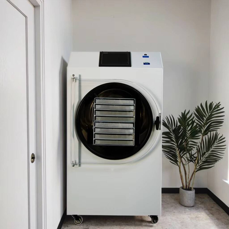 Dried Fruit - Automatische PLC-gestuurde droogmachine Gedroogd koffie Fruit