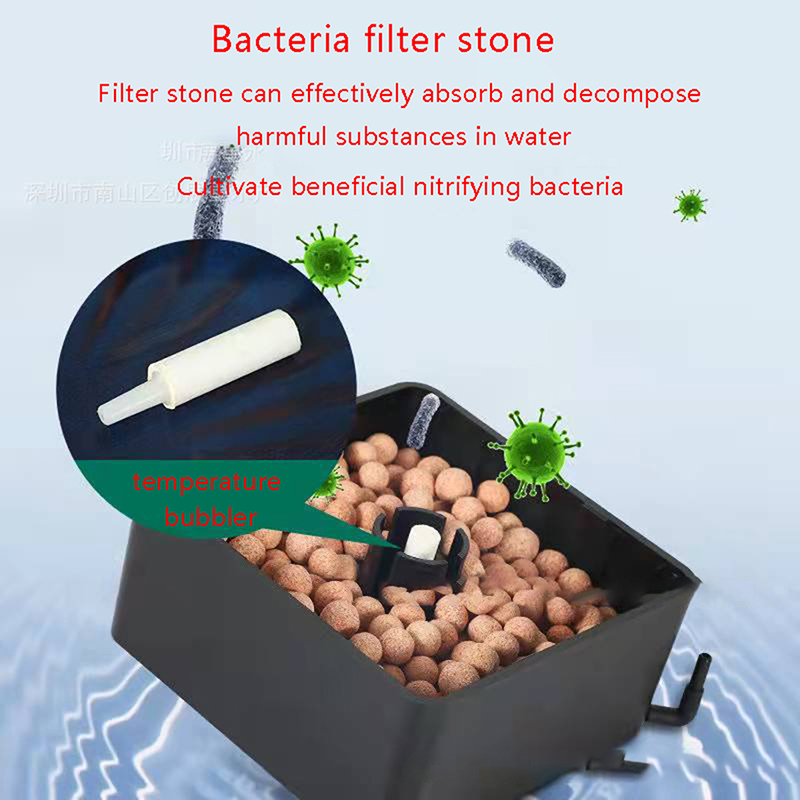 Nieuwe Bio Spons Filter Voor A - Seaweed Snack recensie en prijs